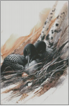 (image for) Loon's Nest